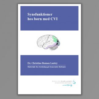 Forside af publikationen: Synsfunktioner hos børn med CVI